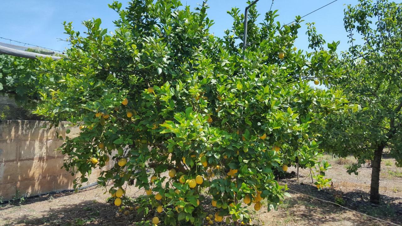 Finca Sa Cova De Mallorca Sencelles Exterior foto
