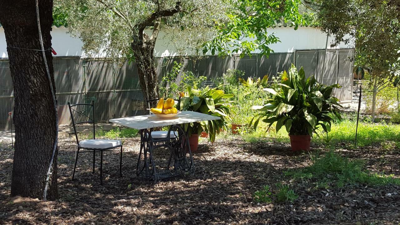 Finca Sa Cova De Mallorca Sencelles Exterior foto