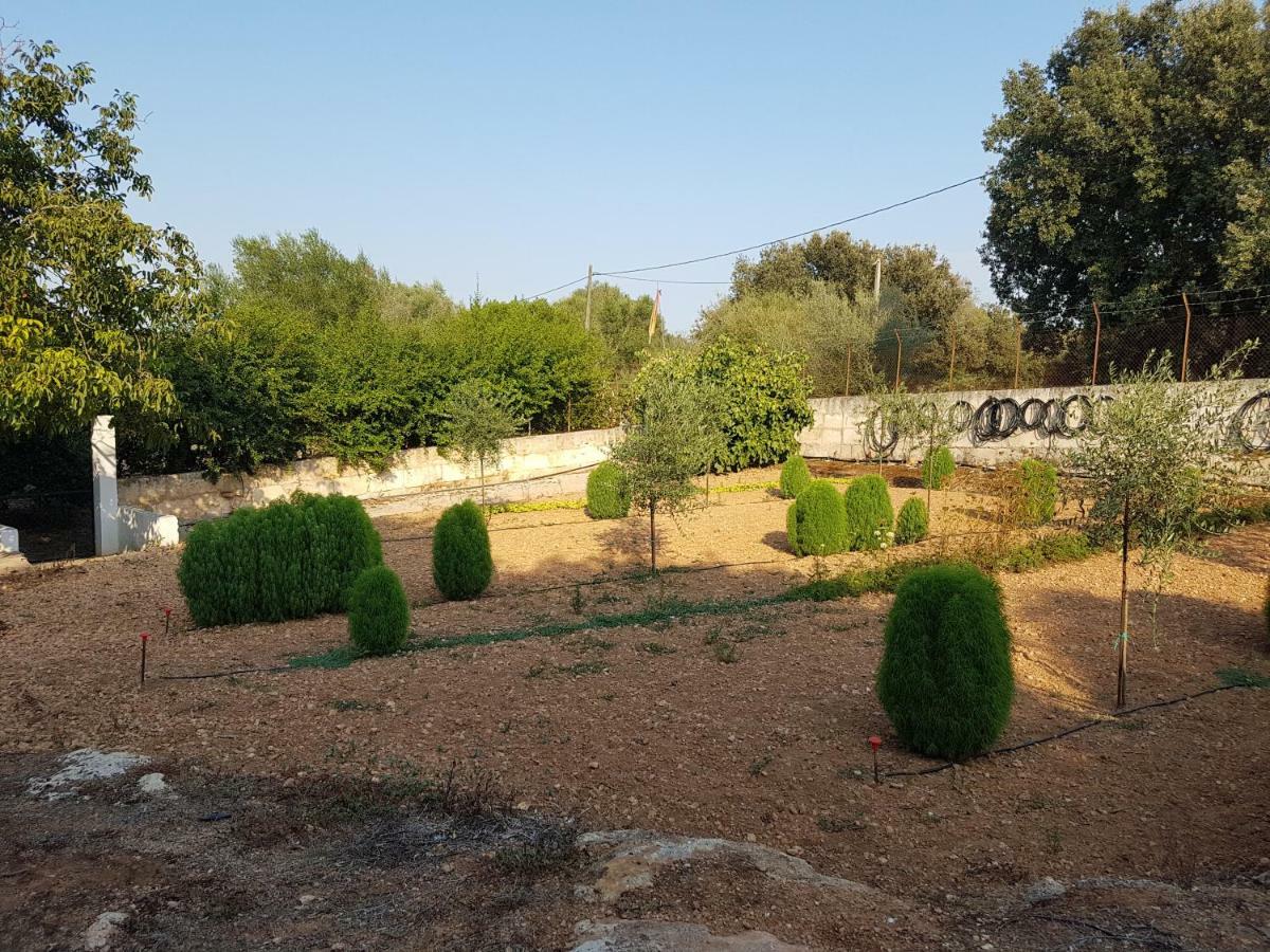 Finca Sa Cova De Mallorca Sencelles Exterior foto
