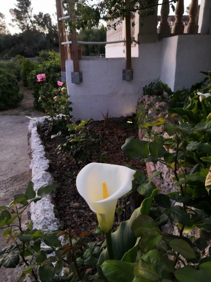 Finca Sa Cova De Mallorca Sencelles Exterior foto