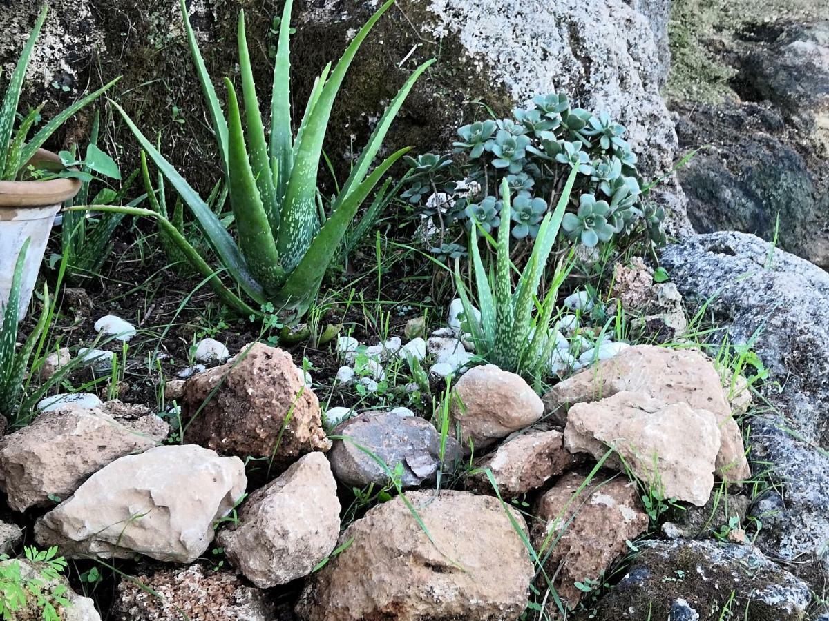 Finca Sa Cova De Mallorca Sencelles Exterior foto