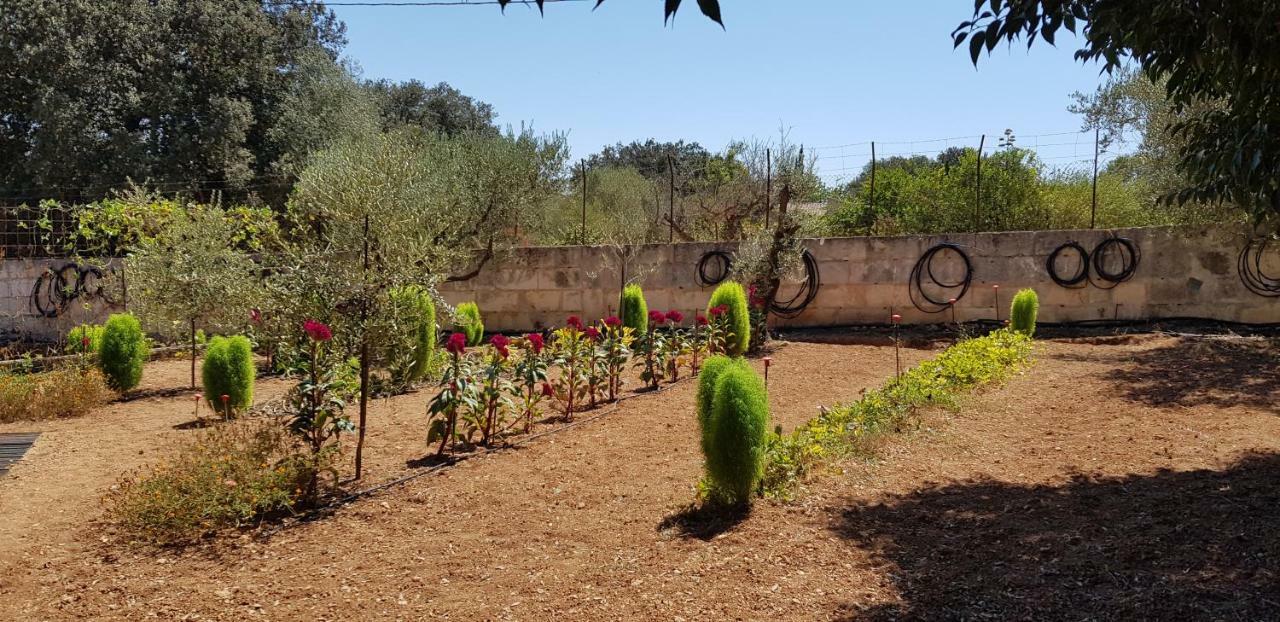 Finca Sa Cova De Mallorca Sencelles Exterior foto